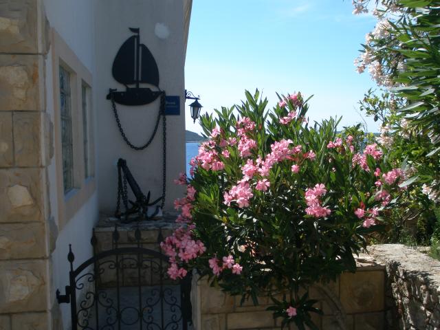 Photos for house 640462