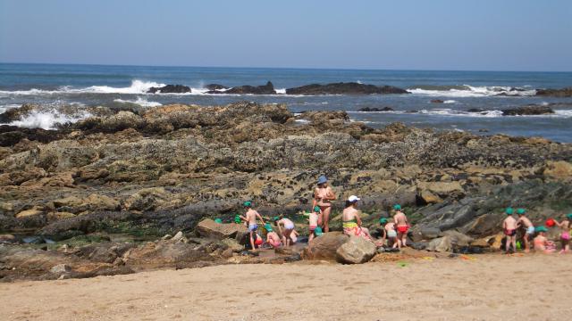 Photos for house 640465