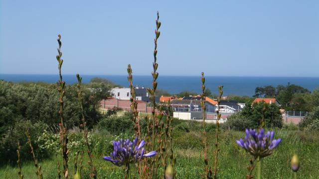 Photos for house 640465