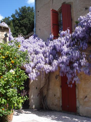 Photos for house 640519