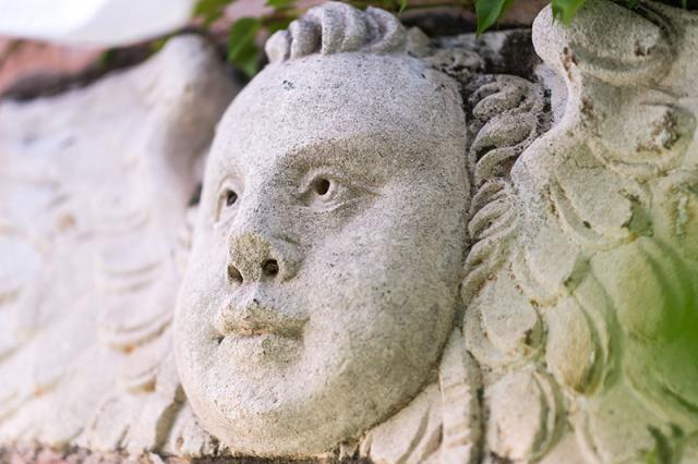 Photos for house 640588