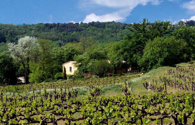 Photos for house 640621