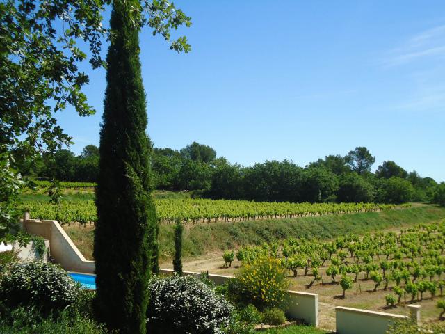 Photos for house 640621