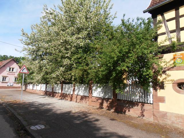 Photos for house 640673