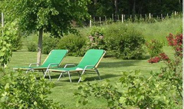 Photos for house 640070