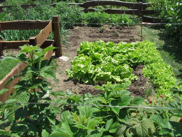 Photos for house 640736