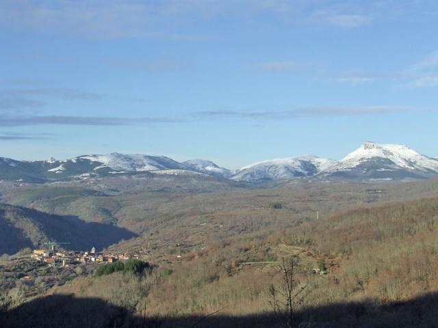 Photos for house 640736