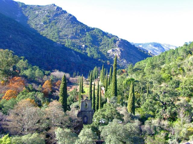 Photos for house 640736