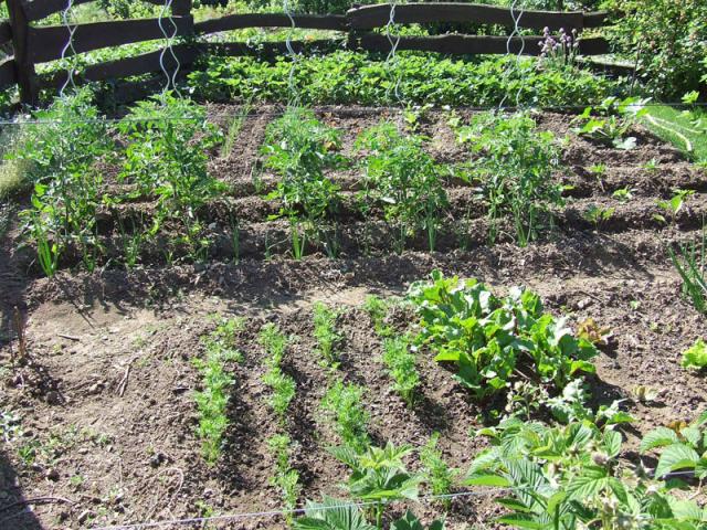 Photos for house 640737