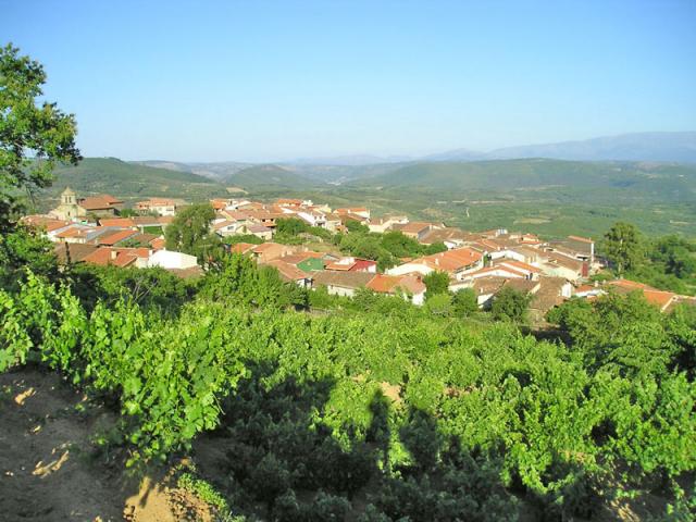 Photos for house 640737