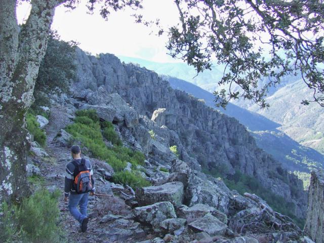 Photos for house 640737