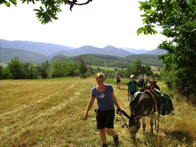 Photos for house 640764