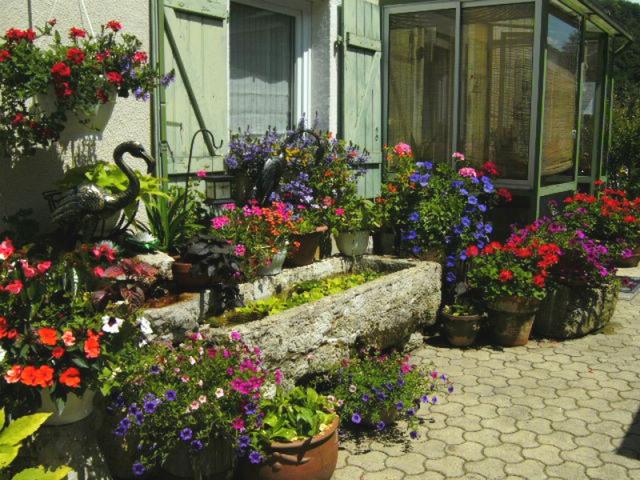 Photos for house 640777