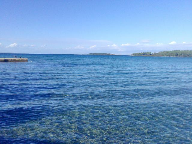 Photos for house 640787