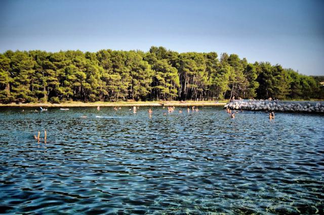 Photos for house 640787