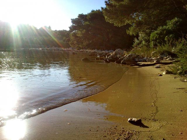 Photos for house 640787