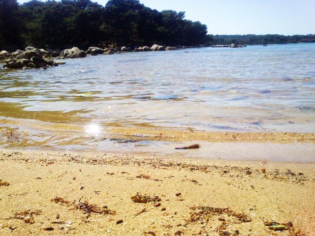 Photos for house 640787