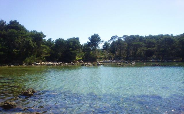 Photos for house 640787