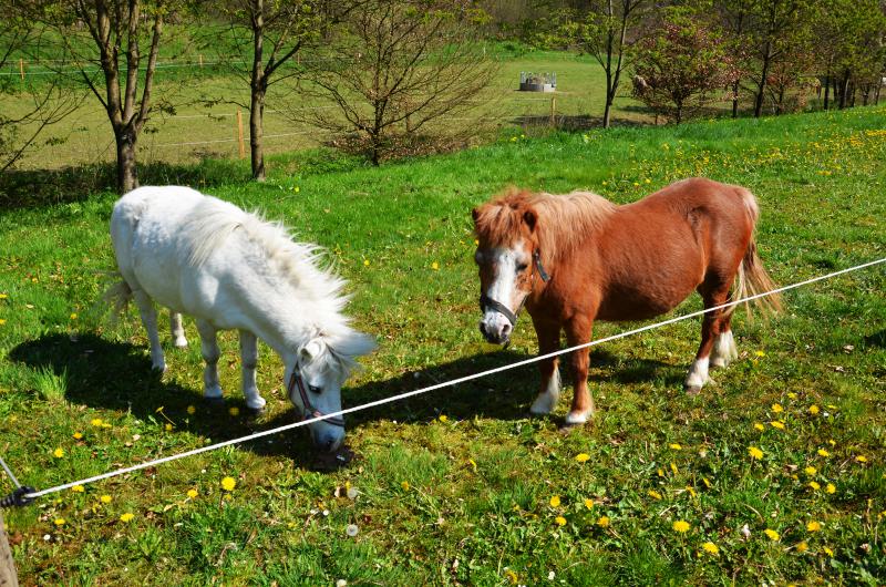 Photos for house 640079