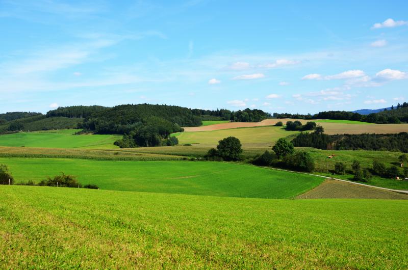 Photos for house 640080