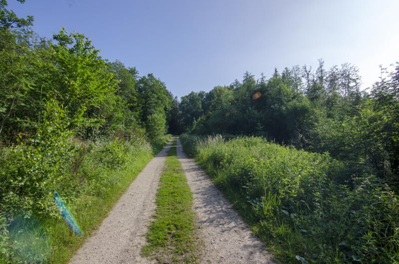 Photos for house 640080