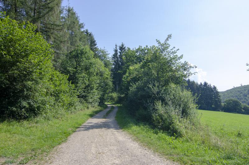 Photos for house 640080