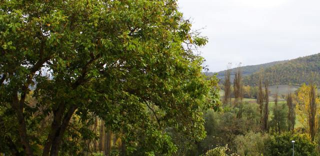 Photos for house 640810