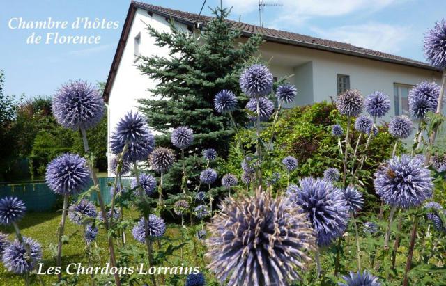 Photos for house 640904