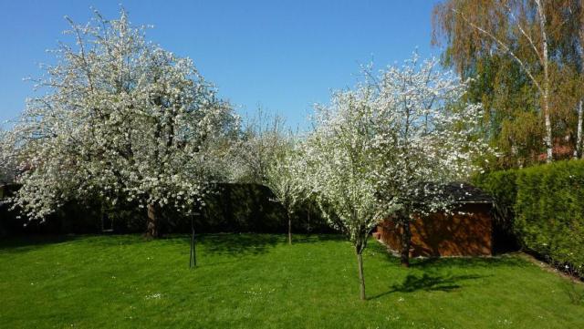 Photos for house 640904