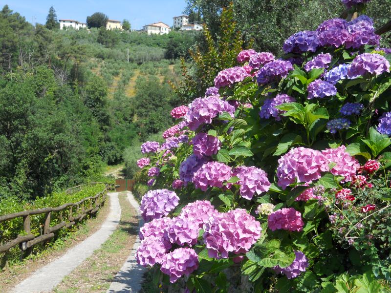 Photos for house 640917