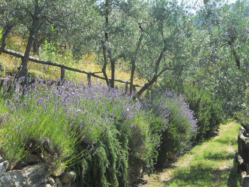 Photos for house 640917