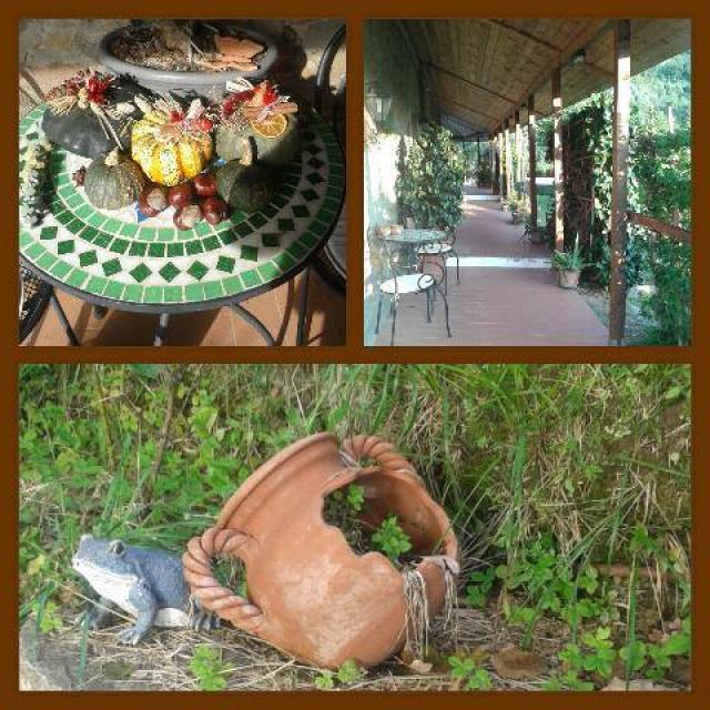 Photos for house 640917