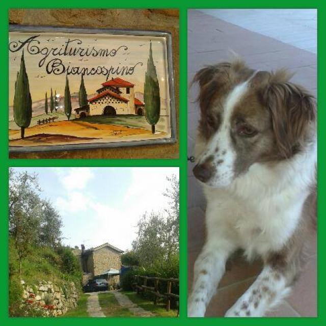 Photos for house 640917