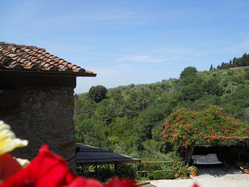 Photos for house 640917