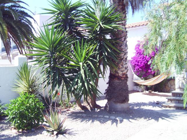 Photos for house 640962