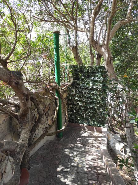 Photos for house 649857