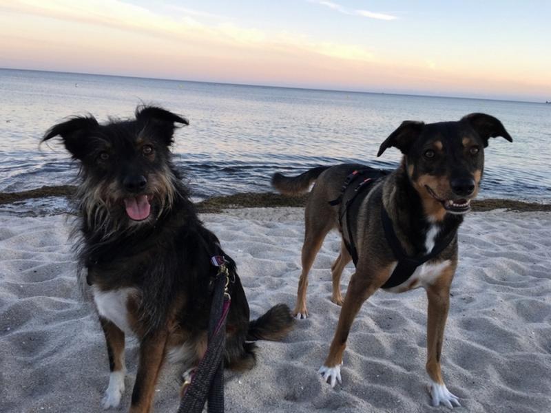 Photos for house 649868