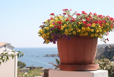 Mainphoto for object 651765