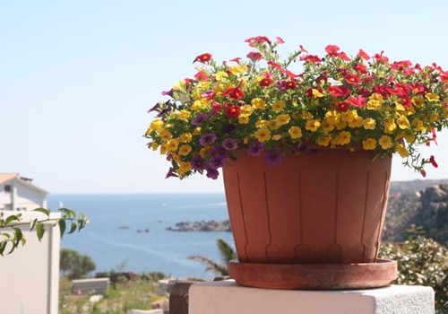 Germany: Sauerland<br>Prices from 745  /week