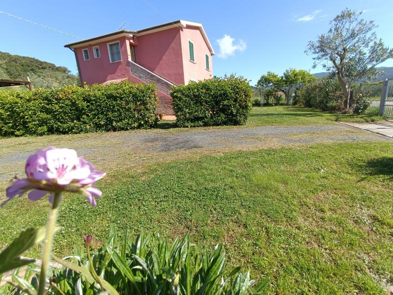 Photos for house 651776