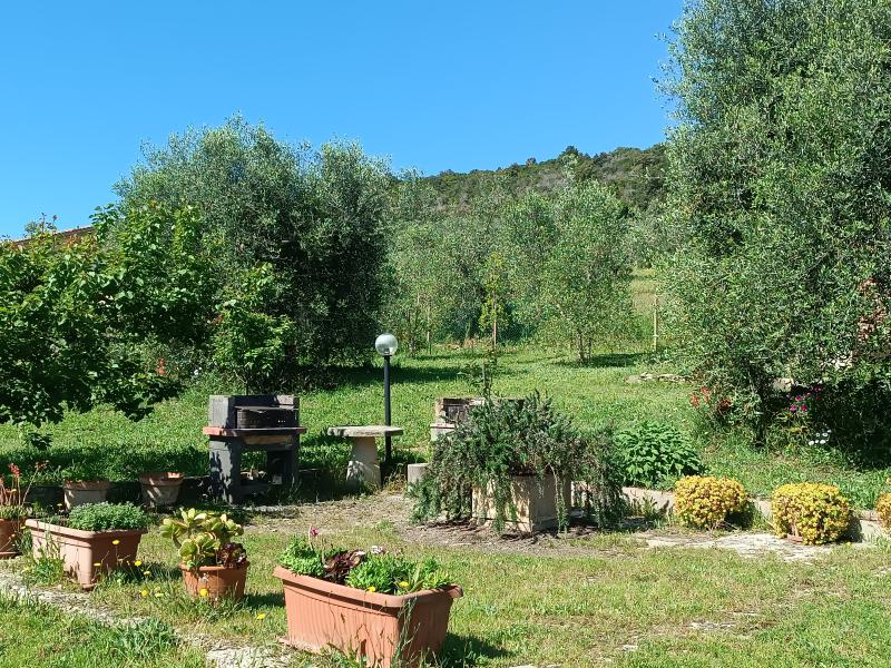 Photos for house 651776