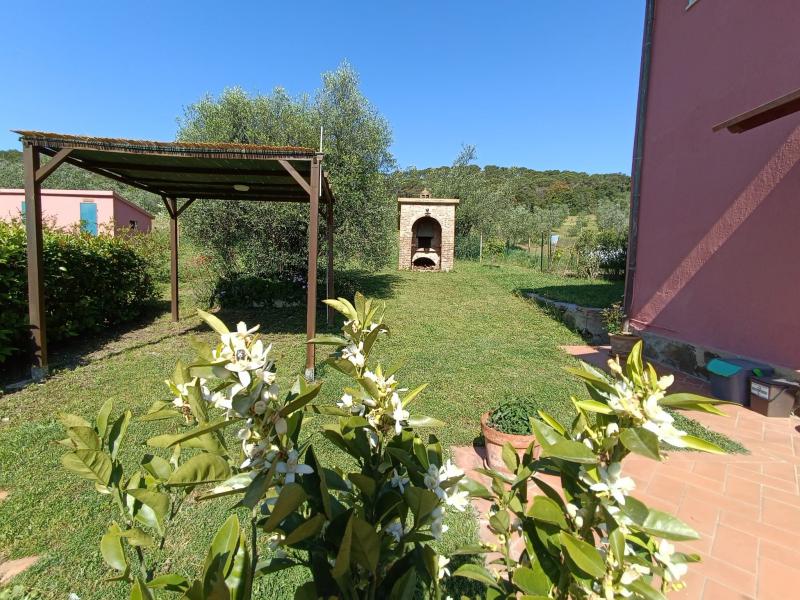 Photos for house 651776